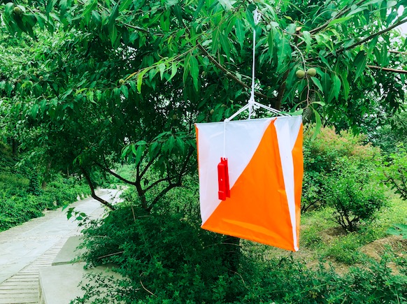 飛鳥(niǎo)創(chuàng)意拓展團(tuán)建項(xiàng)目組獨(dú)家承辦北京市朝陽(yáng)區(qū)人民法院拓展團(tuán)建活動(dòng)！