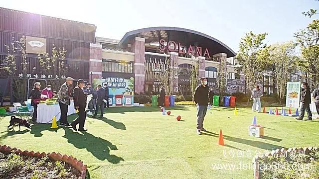 社區(qū)活動(dòng)|朝陽(yáng)483個(gè)社區(qū)舉辦鄰里節(jié)，活動(dòng)各式各樣、精彩紛呈